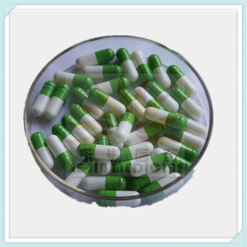 Chlooramfenicol Capsule met GMP (LJ-MA-024)