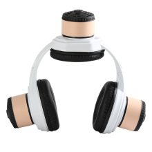 Head and ear moxibustion kit