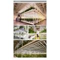 640 Watt Grow Light dla roślin wewnętrznych Full Spectrum