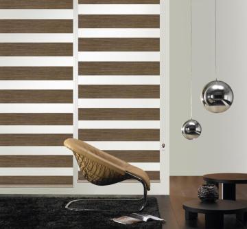 Zebra Blinds of Vertical Blind Roller Blind