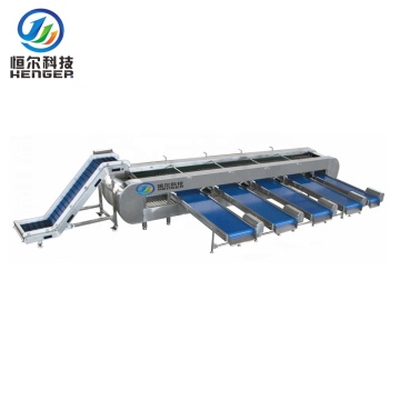 Fruit and Vegetable Processing Line: Washing Machines