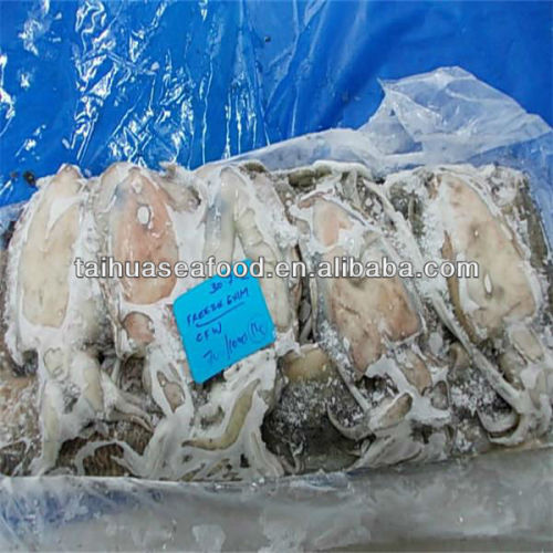 fresh and frozen dried squid products