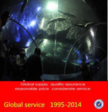 public aquarium construction