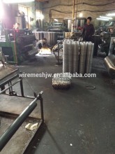 New Product Bright Galvanized Welded Wire Mesh Netting/Strong Mesh Netting