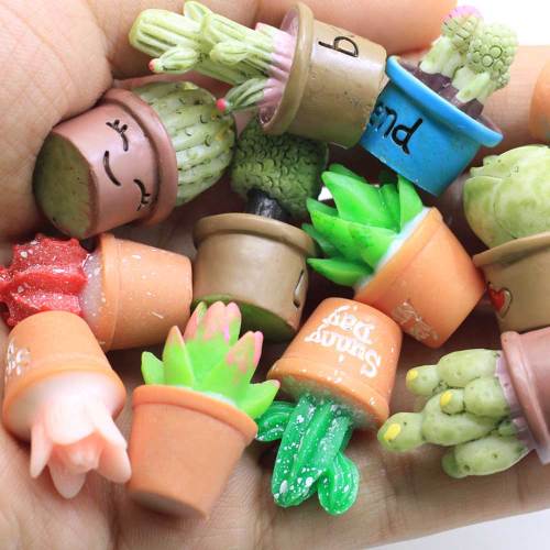 Διάφορα τυχαία μικτά σχέδια Flatback Resin Cactus Cabochon Kawaii Mini Cactus Succulent σε δοχείο φυτό νεράιδα διακόσμηση κήπου