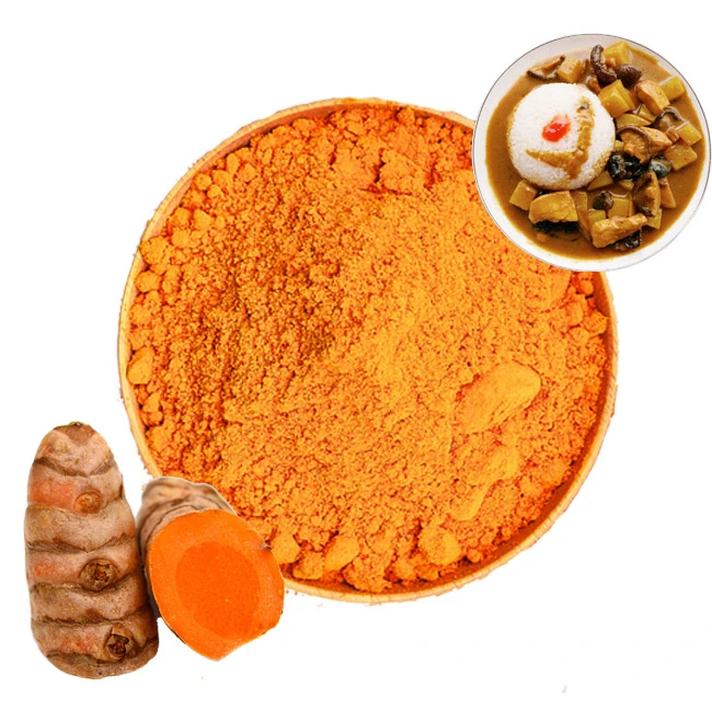 Free Samples Herbal Extract Turmeric Root Powder 95%/98% Curcumin for Food Additives