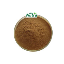 Organic Black Elderberry Extract Powder