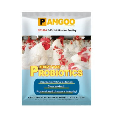 EP1004  Probiotic Enzyme for poultry
