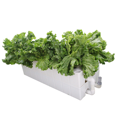 Hydroponics vegetable planter systems