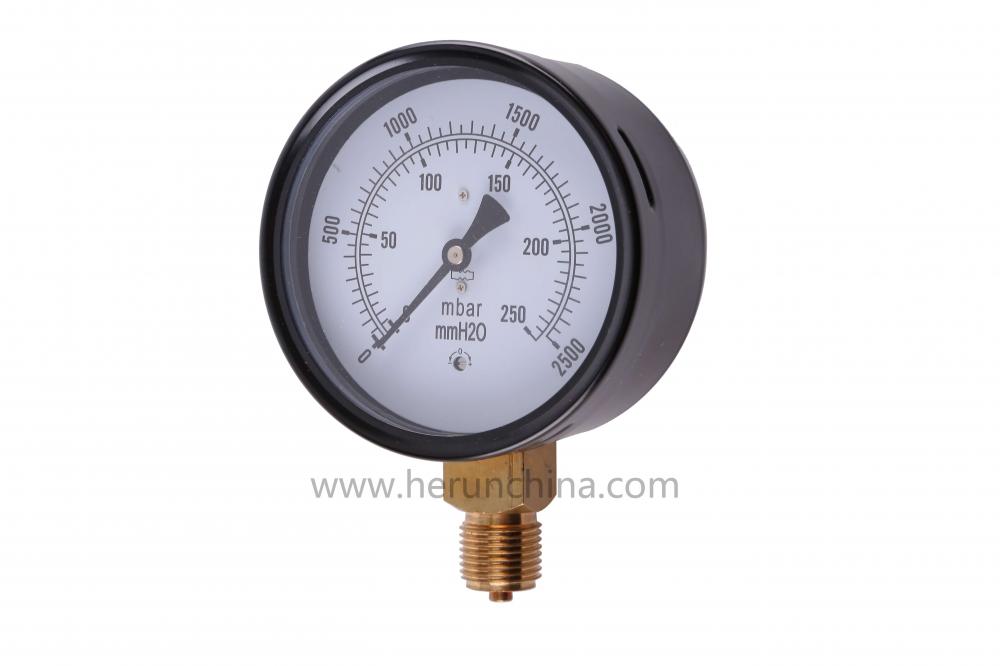 brass internal capsule gauge