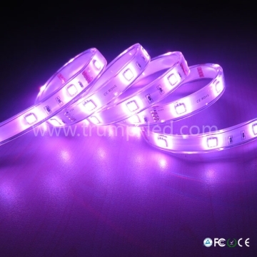 Shenzhen Factory Price Flexible LED Strip Light Waterproof 5050