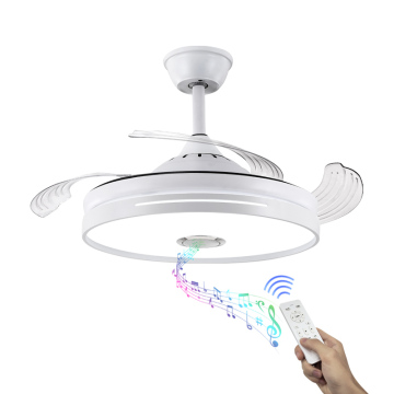Modern Commercial Homestead Ceiling Fans with Lights