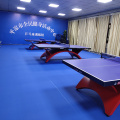 Pisos de interior Sprots --- Aprobado por la ITTF