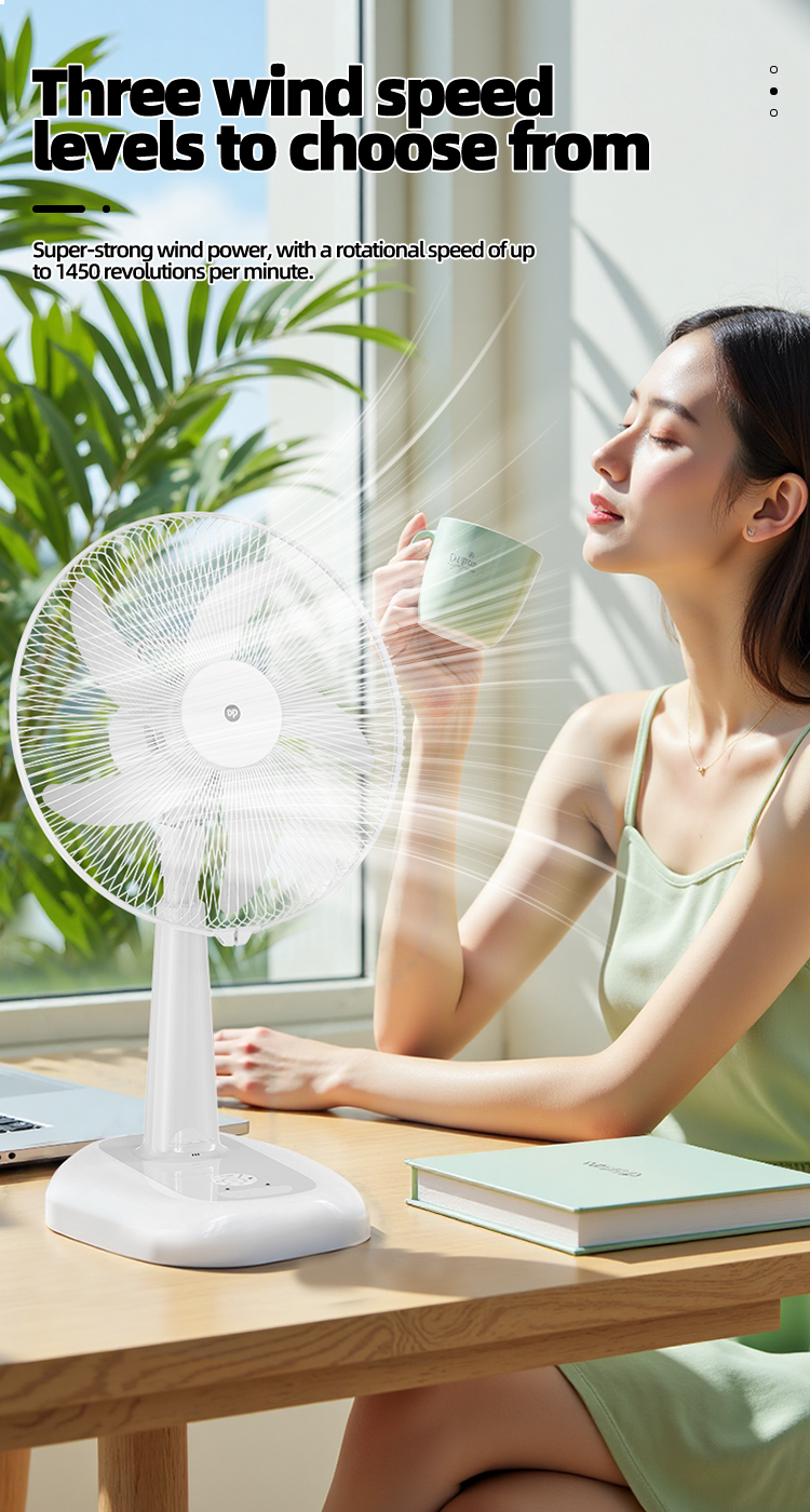 16'' Rechargeable Pedestal Fan with Night Light DP-F507AL-detail-5 16'' Rechargeable Pedestal Fan with Night Light DP-F507AL-detail-5