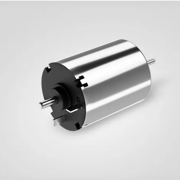 brushed motor brushed motor
