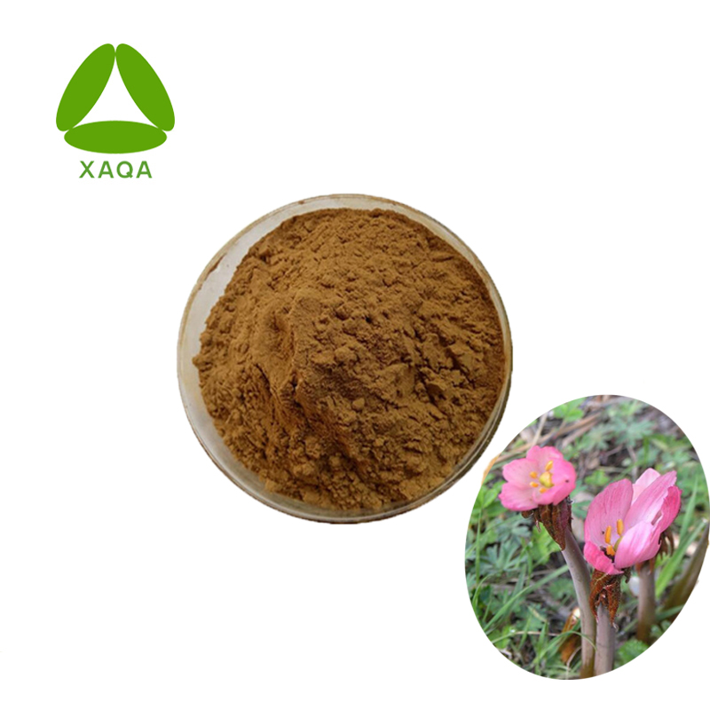 Порошок экстракта Podophyllum Podophylline 50% CAS 9000-55-9