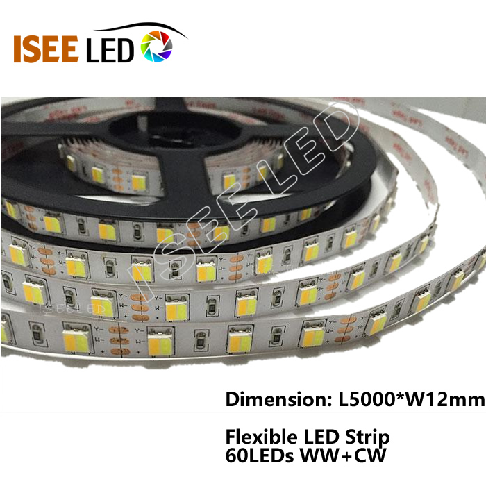 ສີ riww ຢູ່ກາງແຈ້ງ RGBW Led Strip ສໍາລັບຕົ້ນໄມ້ Christmas