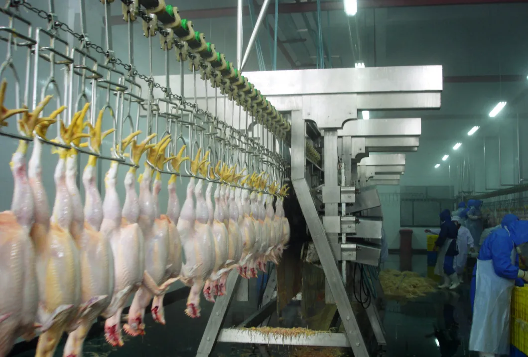Rubber Finger for Poultry Chicken Plucking Machine Defeather