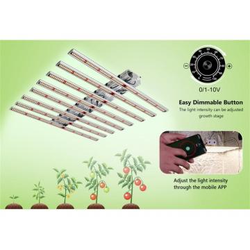 High PPFD LED Grow Light Systems 640W