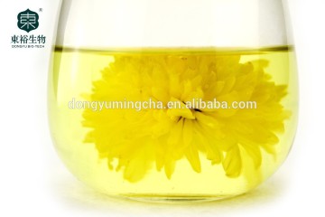 Chinese herbal products organic chrysanthemum tea tcm medicine chrysanthemum tea flower tea