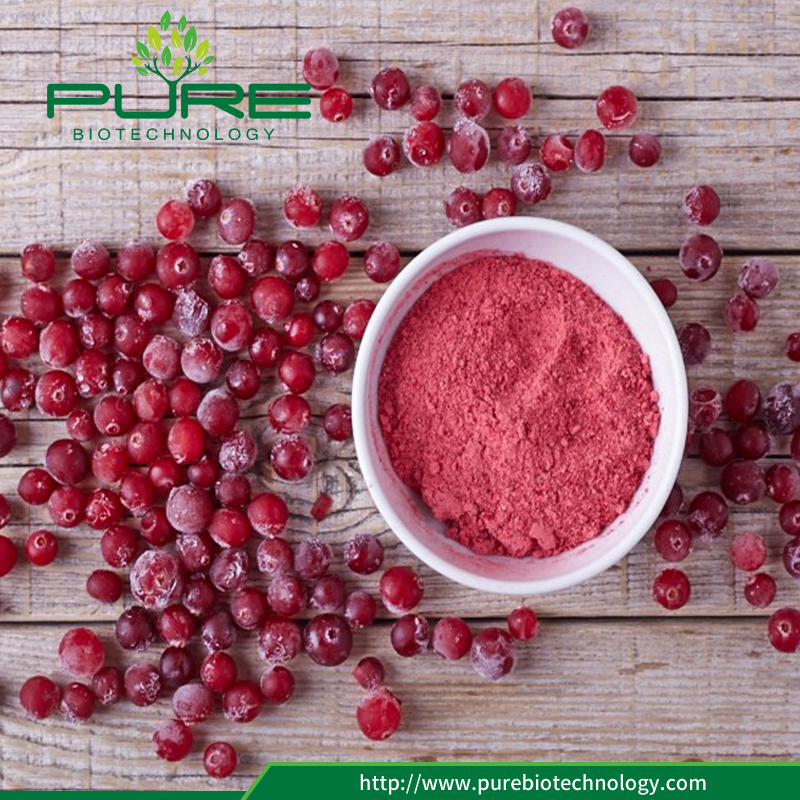 น้ำผลไม้แครนเบอร์รี่ธรรมชาติสกัด 1 Natural Cranberry Extract Juice Powder1