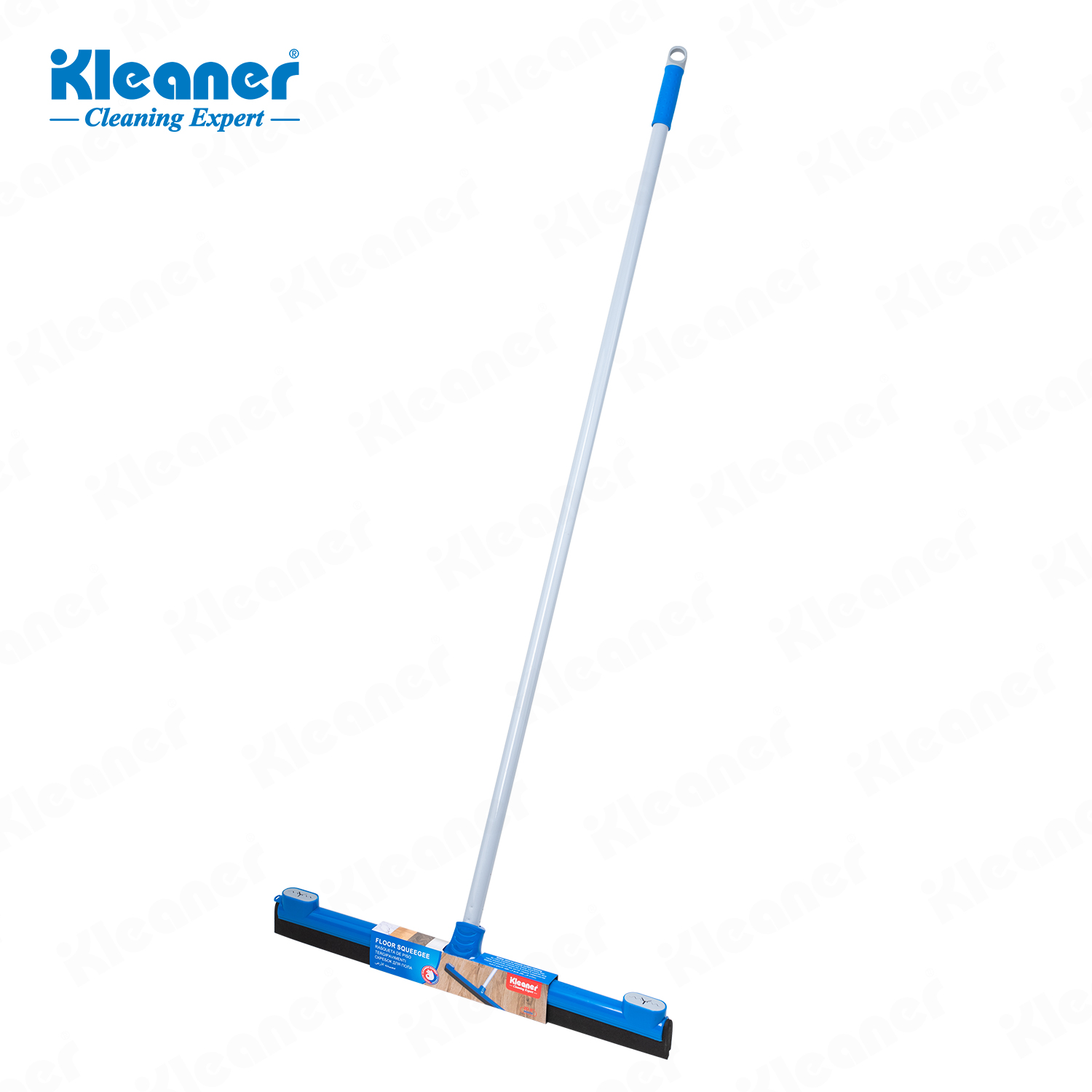 GSK009-6 GSK009-6