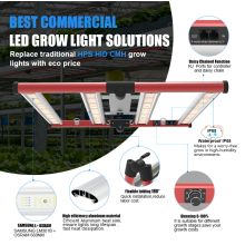 LED تنمو ضوء المائية 240W ل VG Bloom