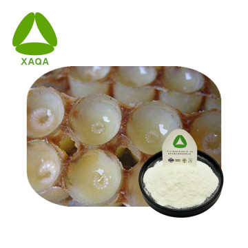 Lyophilized Royal Jelly Royal Jelly Freeze Dried Powder