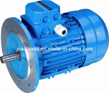 Y2 Series Induction Motor (Y2- 631-2---Y2-355L-2)