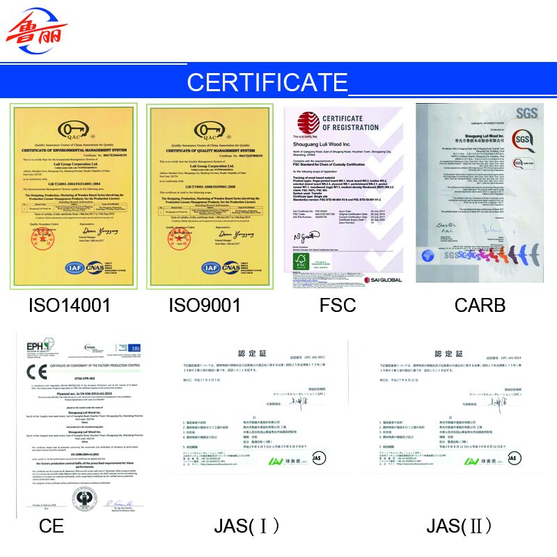 Certificado Certificate