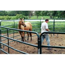 Best Price Horse Fence Panel With Galvanized Pipe