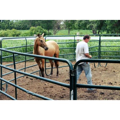 Steel Corral Fence Panel Fence For Horse