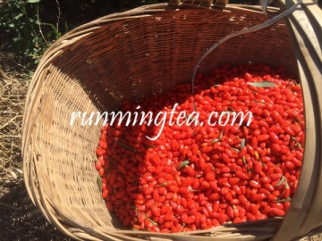 Organic Certified Dried Goji Gerries	Wholesale