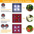 Luces de cultivo de plantas AGLEX LED COB 2000W