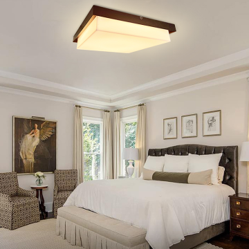 Contemporary Design 24W Acrylic Ceiling Lamp