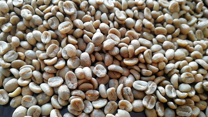 Hạt cà phê xanh Arabica