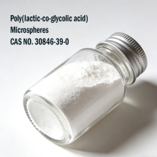 Biodegradable PLGA Polymer for Advanced Medical Applications