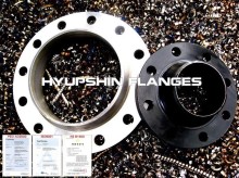 EN1092-1 TYPE11 WNRF CS FLANGES