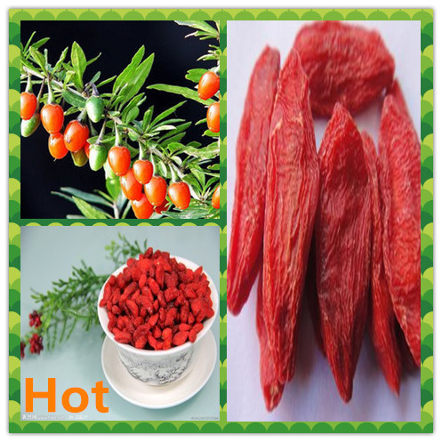 Dried Goji Berry_500