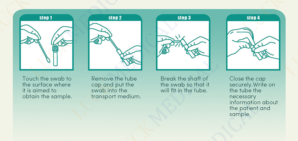 Vrial Transportrohr und Tupfer-Bedienschritte Vrial Transport tube and swab-operating steps