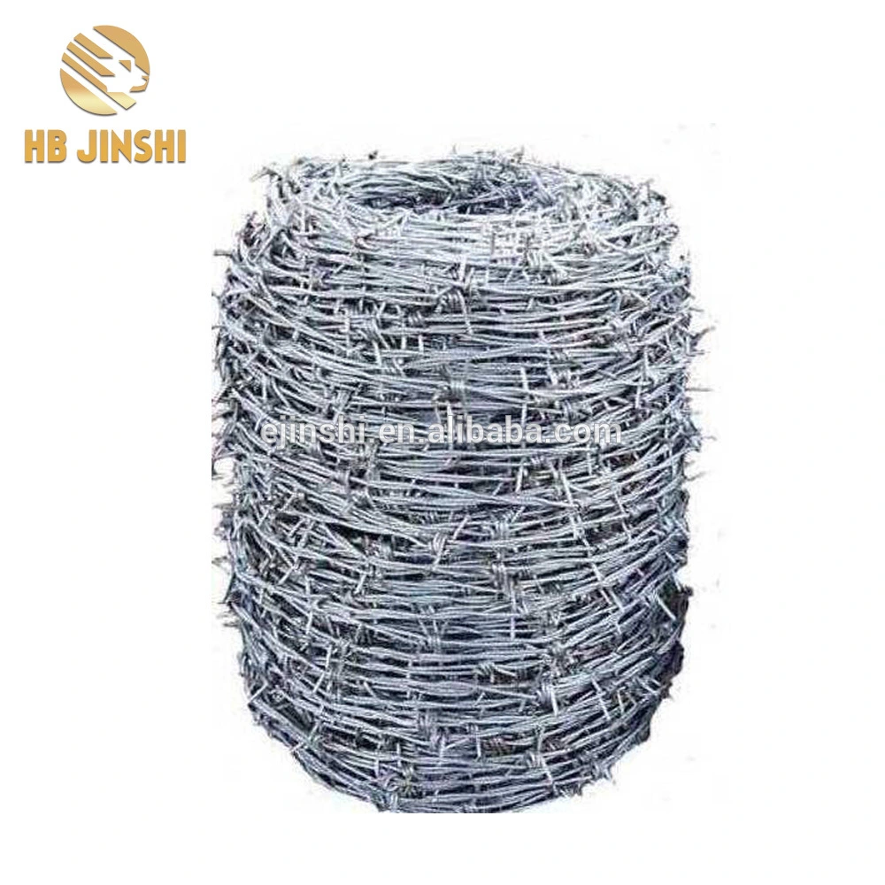 Double Twist Galvanized Barbed Wire Made in China