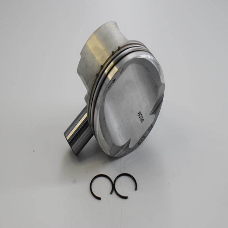 Piston And Piston Ring