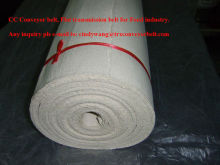 Flat Transmission Belt