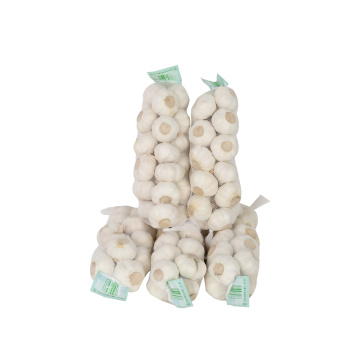 Fresh Garlic From Shandong