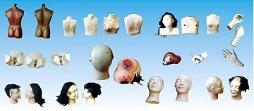 Forensic Science Model