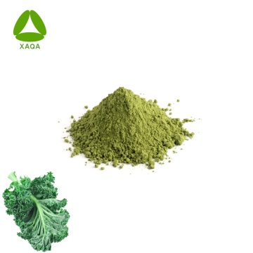 Organic Supplement Pure Kale Leaf 99% Powder