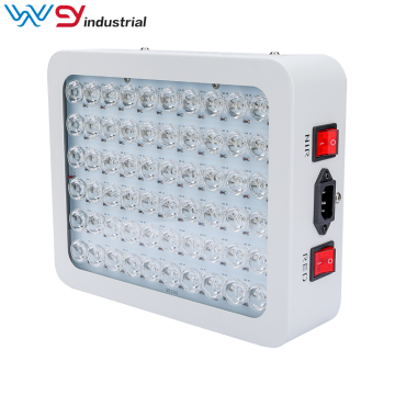 New style 300W COB led therapy light 660nm&850nm