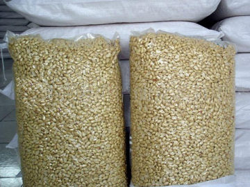 New Crop Blanched Peanut Kernel
