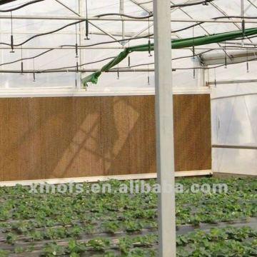 Cooling Pad Greenhouse (OFS)