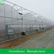 flower growing greenhouse